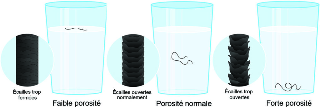 produits capillaires martinique